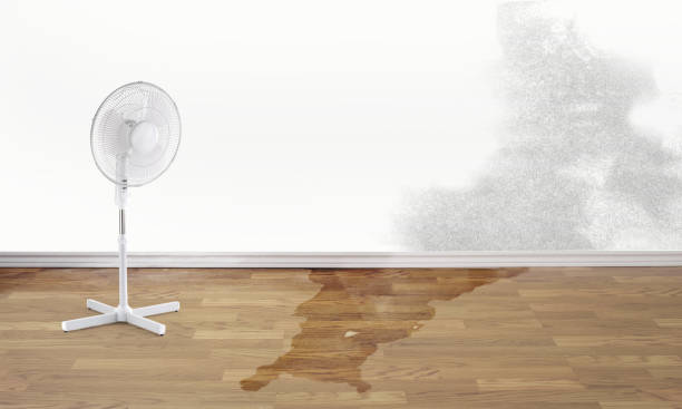 Best Water damage cleanup near me  in Coalinga, CA