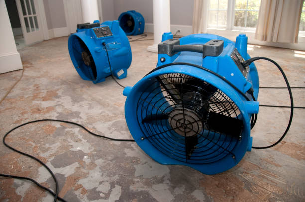 24/7 water damage repair in Coalinga, CA