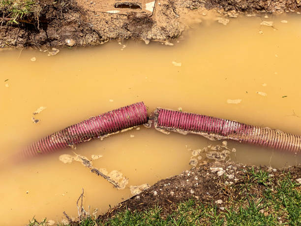  Coalinga, CA Water damage restoration Pros