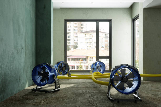 Reliable Coalinga, CA Water damage restoration Solutions